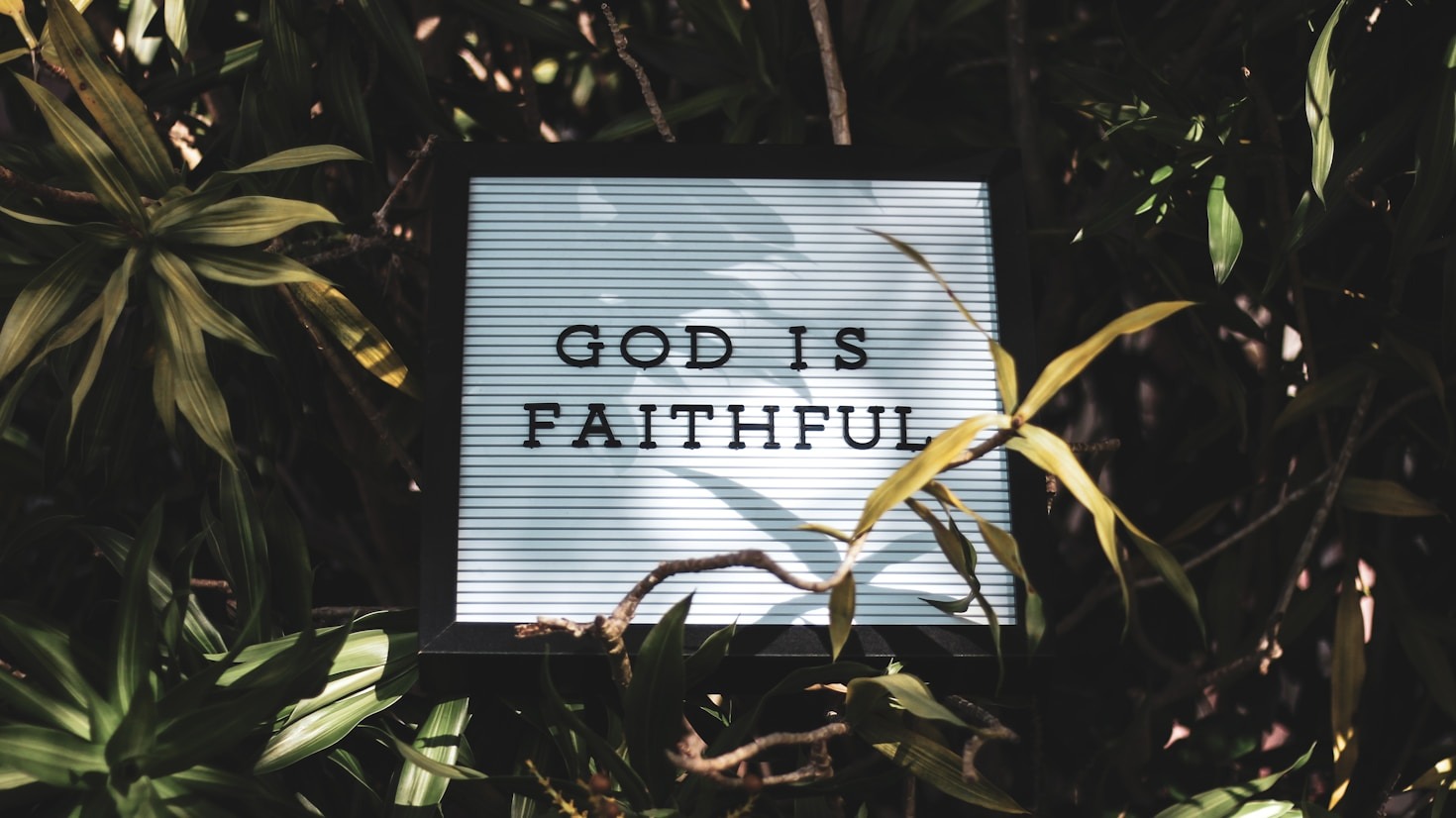 How Road Faithful Supports Traveling Believers